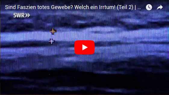 Video über Faszien: Sind Faszien totes Gewebe ? Welch ein Irrtum